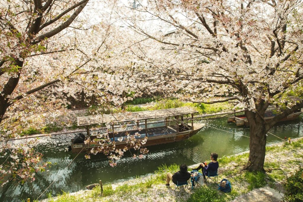 Kyoto - A Journey Back in Time |  The Buzz Banter | travelling | travel | safe travelling | places | Best places to visit | thebuzzbanter | buzz banter | Travels